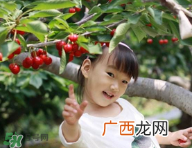 5月份还有樱桃摘吗？5月份哪里可以摘樱桃？