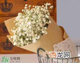 母亲节可以送满天星吗？母亲节能送满天星吗？