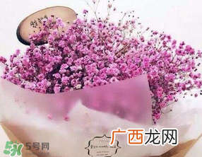 母亲节可以送满天星吗？母亲节能送满天星吗？