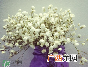母亲节可以送满天星吗？母亲节能送满天星吗？