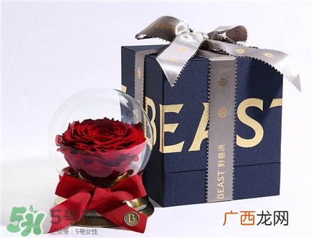 野兽派永生花为什么贵?野兽派永生花怎么样?