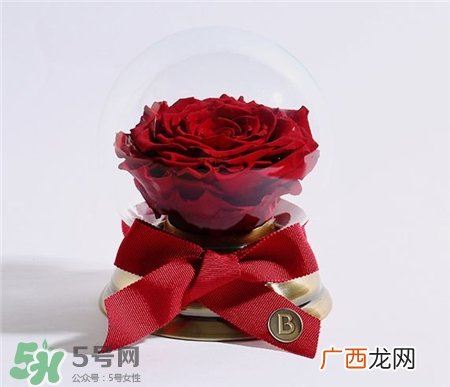 野兽派永生花为什么贵?野兽派永生花怎么样?