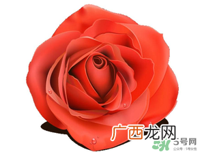 母亲节送什么颜色的玫瑰花？母亲节送几朵玫瑰花？