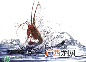 5月份适合养小龙虾吗？几月份适合养龙虾？