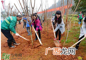 五月份能种树吗？五月份种树能活吗？