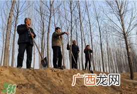 五月份能种树吗？五月份种树能活吗？