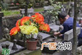 母亲节能扫墓吗？母亲节给母亲上坟合适吗？