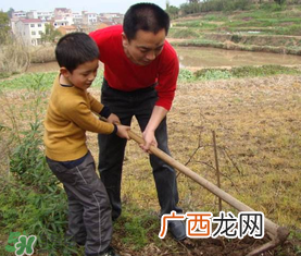 五月份适合种哪些果树？五月份种什么水果？