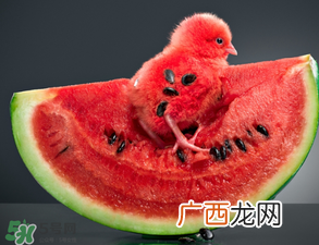 5月份的西瓜能吃吗？五月份的西瓜能吃吗？