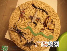 端午节五毒是什么?端午节为什么要避五毒?