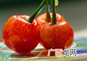 ?端午节还有樱桃吗？端午节可以摘樱桃吗？