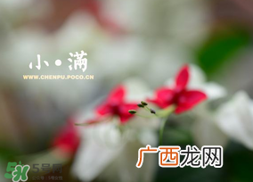 小满是什么节气？小满是第几个节气？