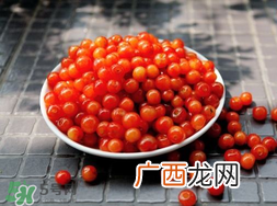 立夏尝三新指的是什么？立夏尝新活动
