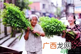 端午节为什么挂艾草？端午节挂艾草的由来