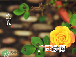 ?立夏是夏天吗？?立夏是夏天的开始吗？