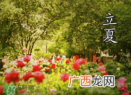 ?立夏是夏天吗？?立夏是夏天的开始吗？