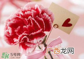 母亲节要送婆婆礼物吗？母亲节要给婆婆买礼物吗？
