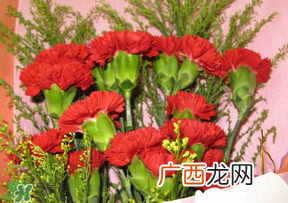 母亲节要不要给男朋友妈妈买礼物?母亲节送男友妈妈礼物