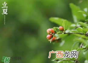 立夏要注意什么?立夏养生禁忌
