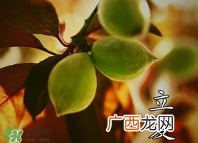 立夏吃什么水果？立夏吃什么水果好？