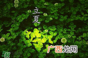 立夏和夏至有什么区别？立夏和夏至的区别
