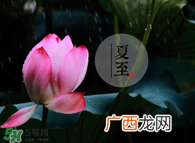 立夏和夏至有什么区别？立夏和夏至的区别