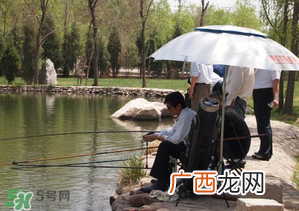 立夏好钓鱼吗？立夏怎么钓鱼？