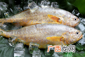 端午节为什么要吃黄鱼？端午节吃黄鱼的由来