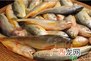 端午节为什么要吃黄鱼？端午节吃黄鱼的由来