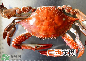 六月份有螃蟹吗？六月份吃什么螃蟹？