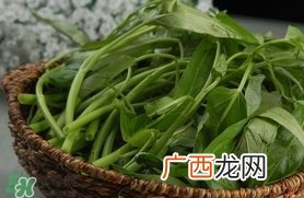 夏天种什么蔬菜？夏天适合种什么蔬菜