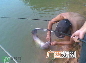 谷雨好钓鱼吗？谷雨钓鱼用什么饵料？