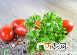 四月份可以种香菜吗？四月份还能种香莱吗？