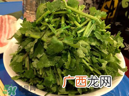 四月份可以种香菜吗？四月份还能种香莱吗？
