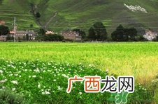 四月份去哪里旅游比较好?四月份最适合旅游的地方