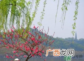 四月份去哪里旅游比较好?四月份最适合旅游的地方