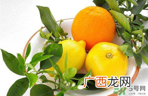 四月份有柚子吗?四月份还能吃柚子吗?