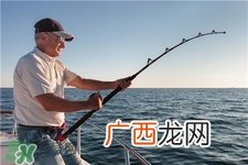 螺蛳肉可以钓鱼吗?螺蛳肉可以钓什么鱼?