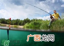 螺蛳肉可以钓鱼吗?螺蛳肉可以钓什么鱼?