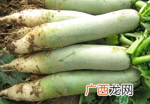 四月份可以种萝卜吗？4月份可以种萝卜吗？