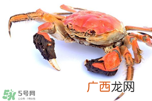 五月份可以吃螃蟹吗？5月份可以吃螃蟹吗？