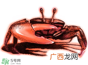 五月份可以吃螃蟹吗？5月份可以吃螃蟹吗？