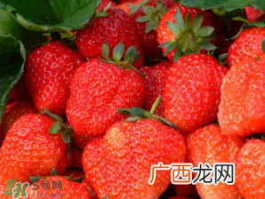 五月份还有草莓吗？5月份还有草莓吗？