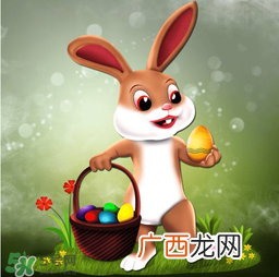 复活节的兔子叫什么？复活节兔子是恐怖的吗？