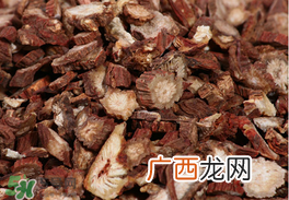 春天能吃丹参吗？丹参什么人不能吃？