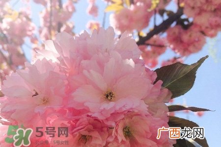 春分可以回娘家吗？春分能在娘家过夜吗？