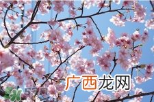 春分可以回娘家吗？春分能在娘家过夜吗？