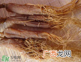 春天能吃红参吗？春天可以吃红参吗？