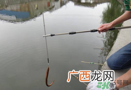 四月份可以钓黄鳝吗？4月份可以钓黄鳝吗？