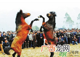 三月三有什么禁忌？三月三有什么讲究？